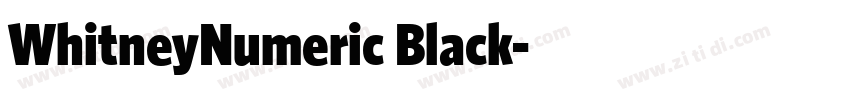 WhitneyNumeric Black字体转换 WhitneyNumeric Black字体转换